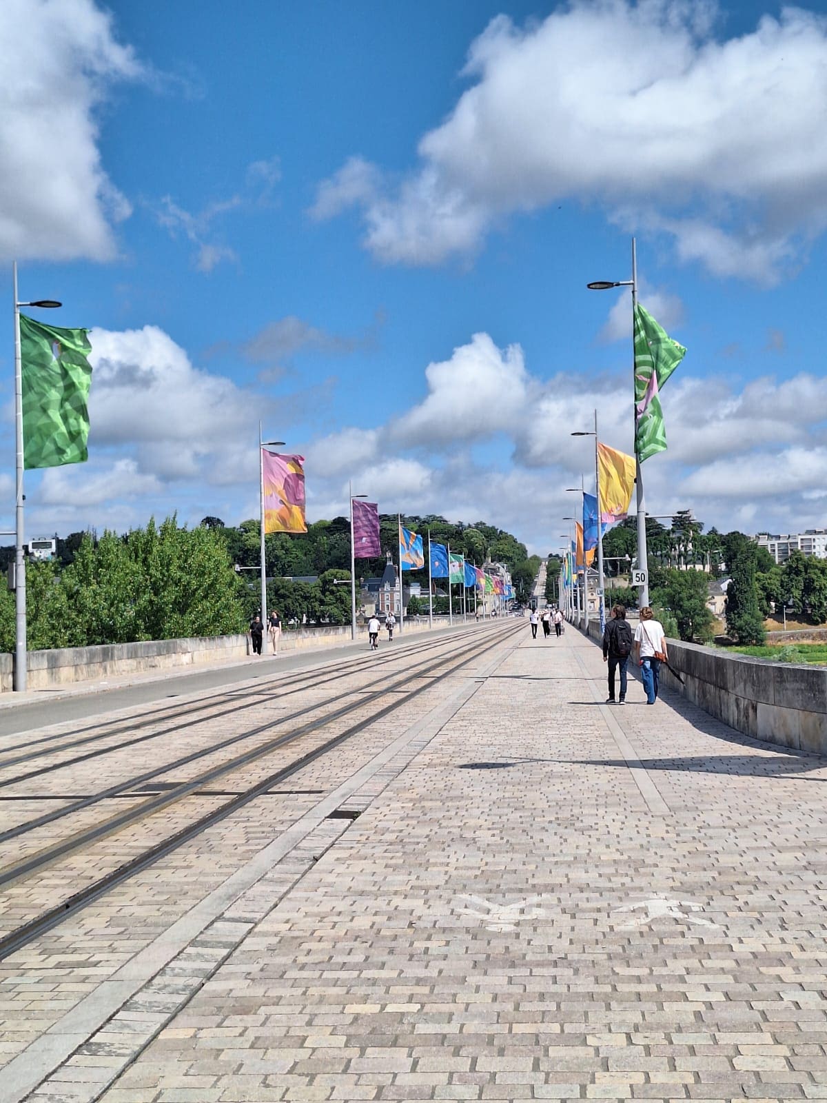 Pavoisement : Idéologie vaseuse