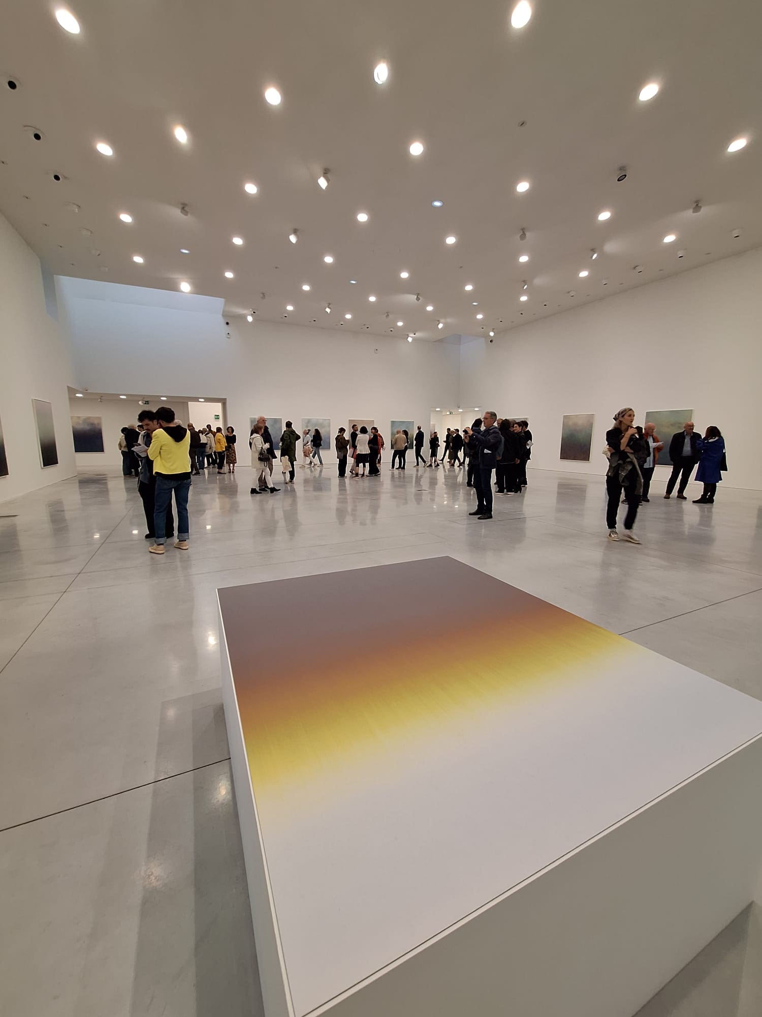 CCCOD : verticales trop bourgeoises ?